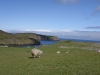 Fair Isle
